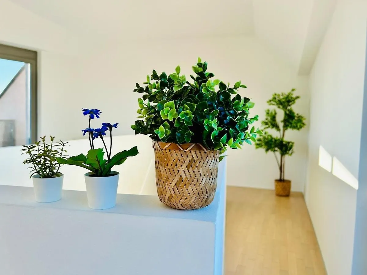 Modern 4 Room-Apartment With Free Parking Vienna Apartment