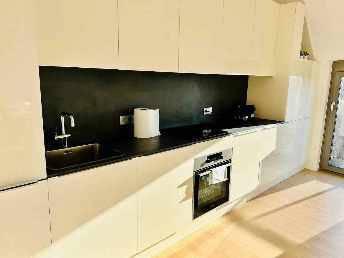 Modern 4 Room-Apartment With Free Parking Vienna 0*,  Austria